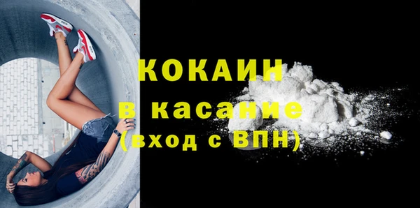 шишки Болотное