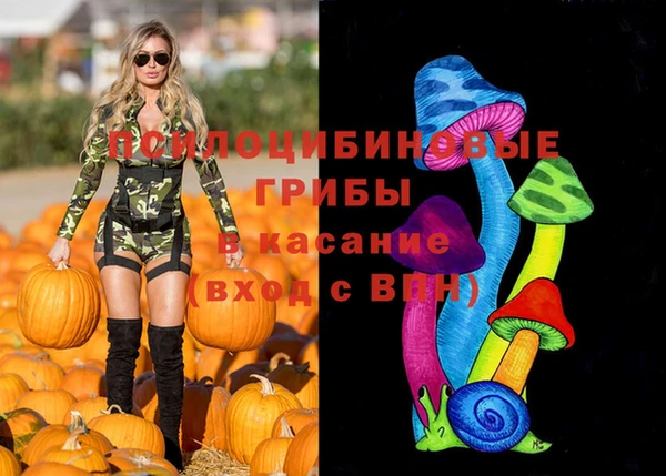 шишки Болотное