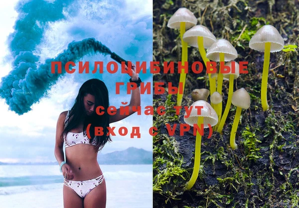 хмурый Болхов