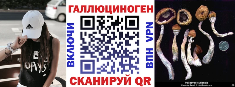 Псилоцибиновые грибы MAGIC MUSHROOMS  что такое наркотик  мега ONION  Таштагол 